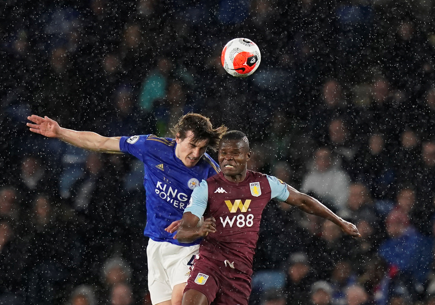 许多大型体 许多大型体